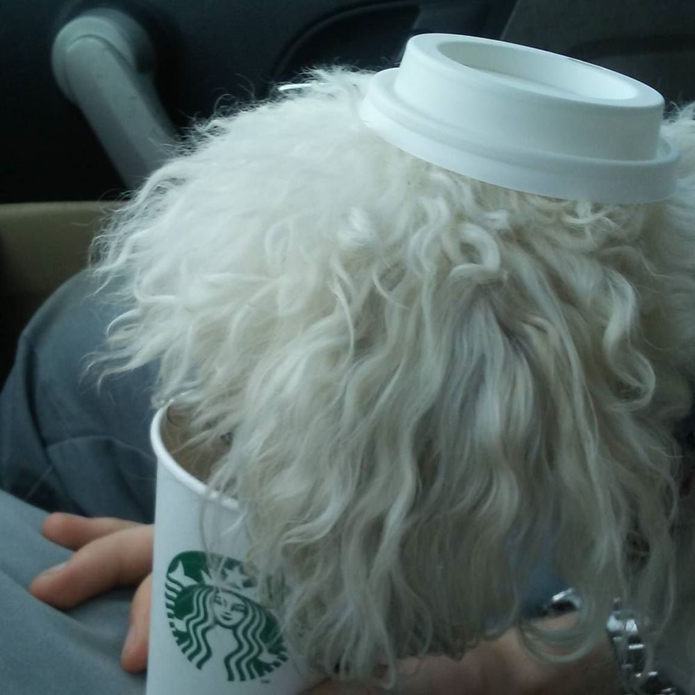 Meet your Posher, Lyn